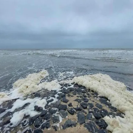 Spacious Hazenborgh In Near * Callantsoog