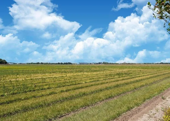 Spacious Hazenborgh In Near *