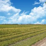 Spacious Hazenborgh In Near *